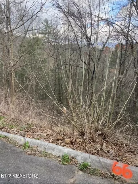0 Lot Apt 66 Smoky Ridge Way, Sevierville, TN 37862