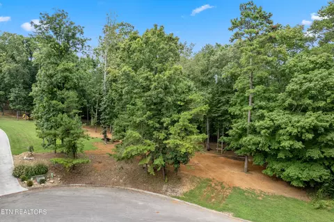 106 W Osprey Cove Ct, Lenoir City, TN 37772