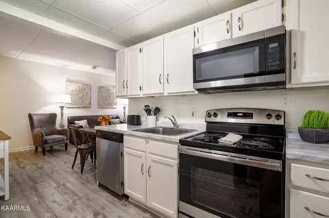 413 Baskins Creek Rd #306, Gatlinburg, TN 37738