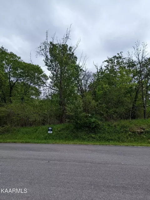 0 Brabson Ct, Kingston, TN 37763