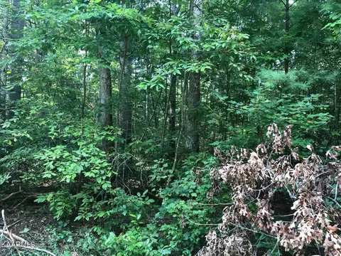 1038 Tekesta Rdg, Crossville, TN 38572