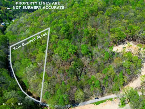1 Chestnut Grove Rd, Maynardville, TN 37807