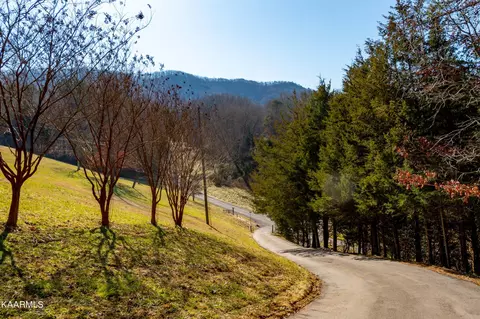201 Wolfenbarger Rd, Luttrell, TN 37779 photo 5