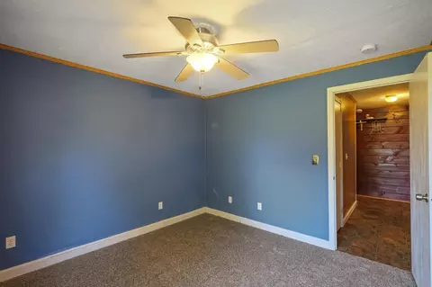 6909 Cedar Hill Rd, Talbott, TN 37877 photo 19