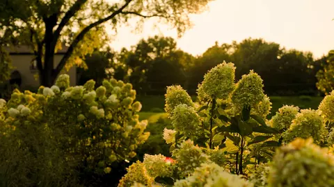 9227 Old Smyrna Rd #LOT 9, Brentwood, TN 37027