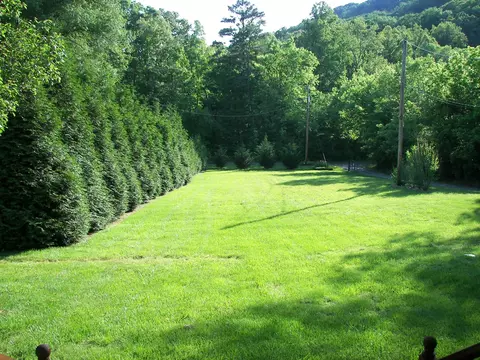 3522 Shipe Rd, Corryton, TN 37721 photo 4