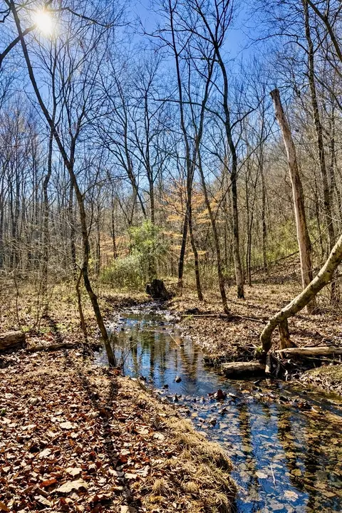 0 Hwy 128, Linden, TN 37096