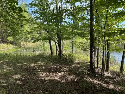 250 Bear Trace Dr, Jasper, TN 37347 photo 15