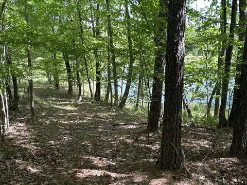 250 Bear Trace Dr, Jasper, TN 37347 photo 17