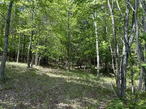 250 Bear Trace Dr, Jasper, TN 37347 photo 12