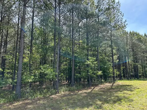 250 Bear Trace Dr, Jasper, TN 37347 photo 2