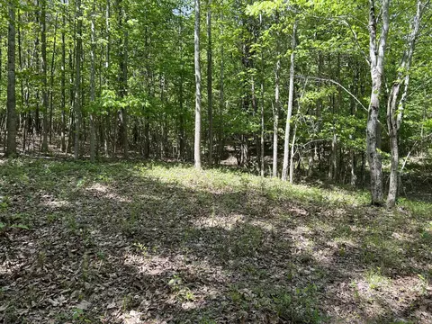 250 Bear Trace Dr, Jasper, TN 37347 photo 13