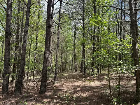 250 Bear Trace Dr, Jasper, TN 37347 photo 8