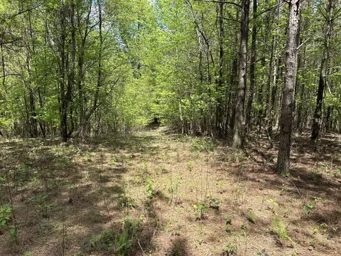 250 Bear Trace Dr, Jasper, TN 37347 photo 7