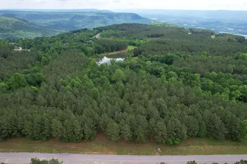 250 Bear Trace Dr, Jasper, TN 37347 photo 19