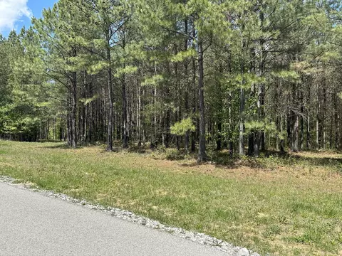 250 Bear Trace Dr, Jasper, TN 37347 photo 5