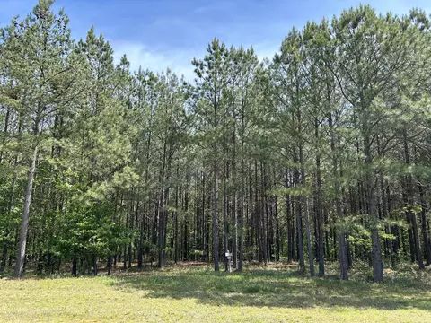250 Bear Trace Dr, Jasper, TN 37347 photo 3