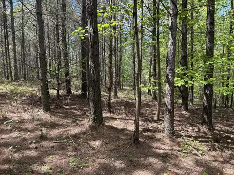 250 Bear Trace Dr, Jasper, TN 37347 photo 10