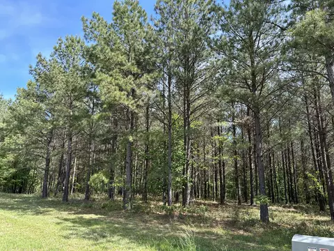 250 Bear Trace Dr, Jasper, TN 37347 photo 4