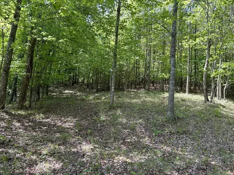 250 Bear Trace Dr, Jasper, TN 37347 photo 11