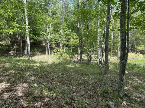 250 Bear Trace Dr, Jasper, TN 37347 photo 14