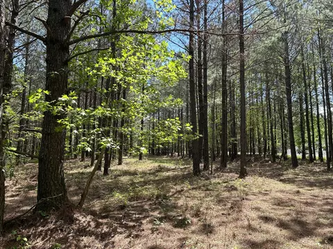 250 Bear Trace Dr, Jasper, TN 37347 photo 9