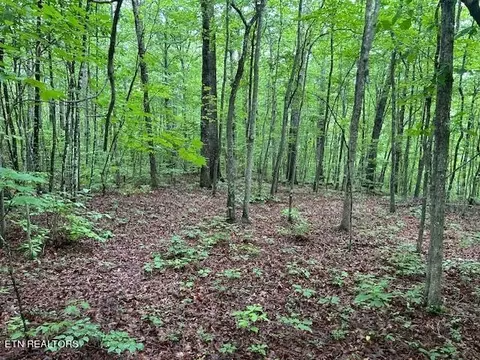 0 Maple Ln, Crossville, TN 38572