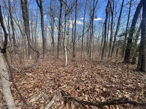 0 Swift Fox, Crab Orchard, TN 37723