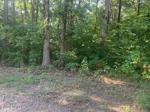 459 Evening Shade Ln, Graysville, TN 37338