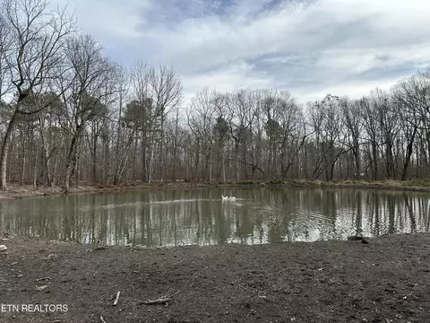 47 W Bluff Rd, Pikeville, TN 37367