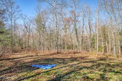 109 Nelson Rd, Lancing, TN 37770 photo 27