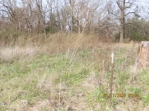 172 E College St, Saulsbury, TN 38067
