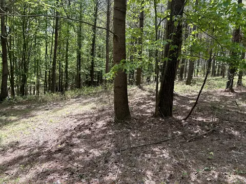 290 Bear Trace Dr, Jasper, TN 37347 photo 18