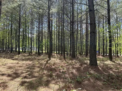 290 Bear Trace Dr, Jasper, TN 37347 photo 11