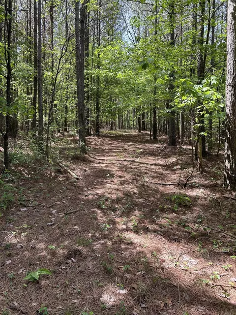 290 Bear Trace Dr, Jasper, TN 37347 photo 13