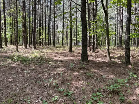 290 Bear Trace Dr, Jasper, TN 37347 photo 17