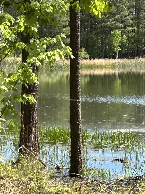 290 Bear Trace Dr, Jasper, TN 37347