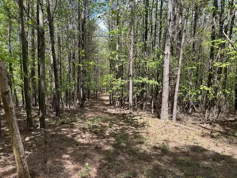 290 Bear Trace Dr, Jasper, TN 37347 photo 10