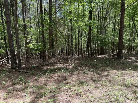 290 Bear Trace Dr, Jasper, TN 37347 photo 15