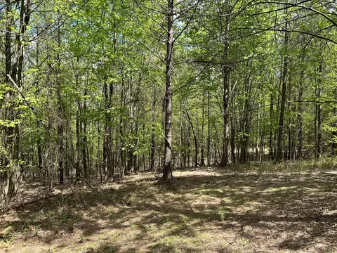 290 Bear Trace Dr, Jasper, TN 37347 photo 8