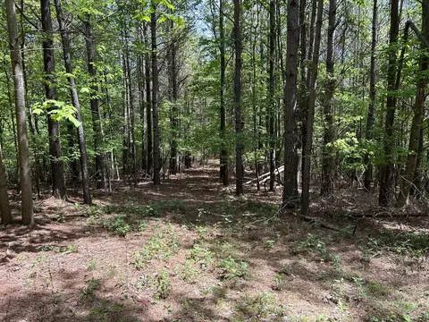 290 Bear Trace Dr, Jasper, TN 37347 photo 14