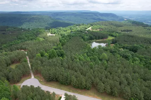 290 Bear Trace Dr, Jasper, TN 37347 photo 19
