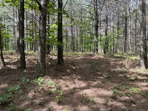 290 Bear Trace Dr, Jasper, TN 37347 photo 16