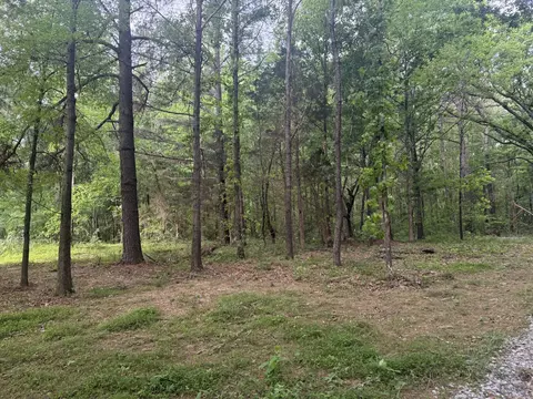 322 Kaiser Rd, Dickson, TN 37055 photo 2