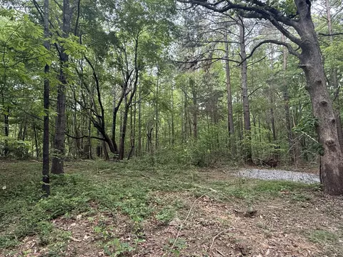 322 Kaiser Rd, Dickson, TN 37055 photo 3