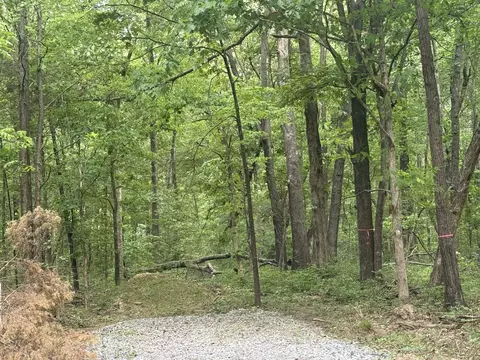 322 Kaiser Rd, Dickson, TN 37055 photo 4