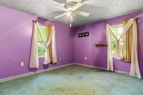 166 Leach Ln, Monroe, TN 38573 photo 2
