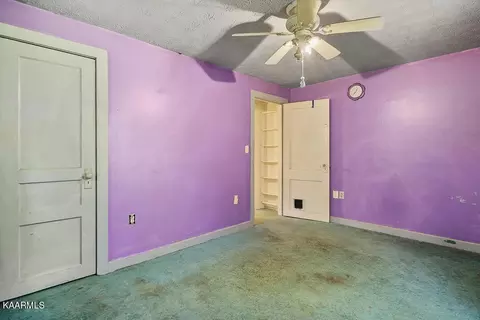 166 Leach Ln, Monroe, TN 38573 photo 3
