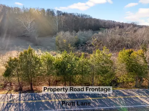0 Pratt Ln, Franklin, TN 37064