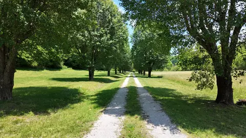 1000 Sendero Bad, Dickson, TN 37055